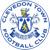 Club badge